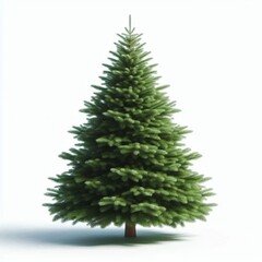 Fototapeta premium Undecorated natural fresh green christmas tree on white background