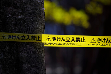立入禁止のテープ