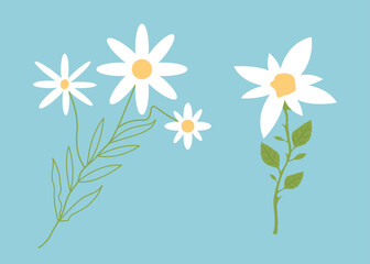 Cute Floral Leaves and Branch Daisy Flower Art Illustration, suitable for your gardening project