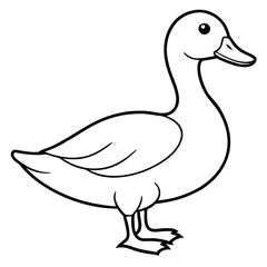 duck isolated on white