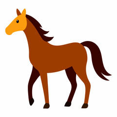 horse isolated on white