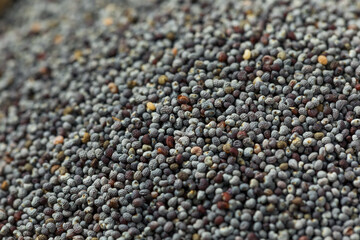 Organic Raw Dry Poppyseeds
