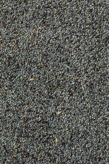 Organic Raw Dry Poppyseeds