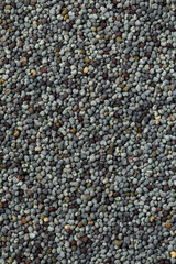 Organic Raw Dry Poppyseeds