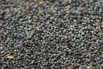 Organic Raw Dry Poppyseeds