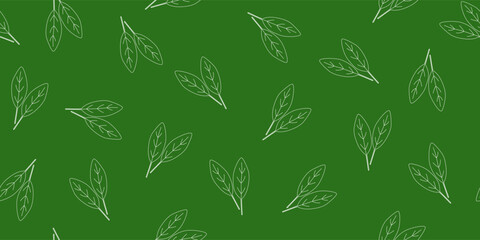 Seamless pattern with fresh spinach leaves outlines on dark green background, vector