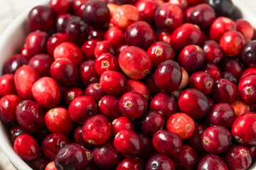 Organic Raw Red Cranberries