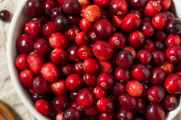 Organic Raw Red Cranberries