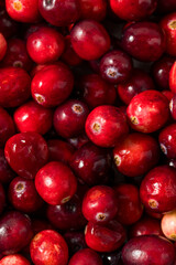 Organic Raw Red Cranberries