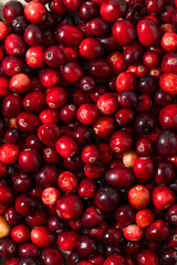 Organic Raw Red Cranberries