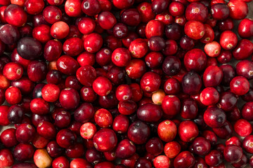 Organic Raw Red Cranberries