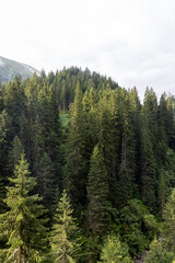 Swiss alpine village and meadows in the mountains