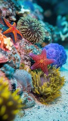Obraz premium Colorful starfish is surrounded by other sea creatures
