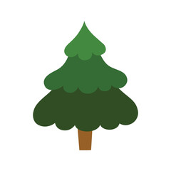 Winter fir tree isolated on white background.