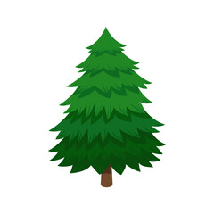 Winter fir tree isolated on white background.