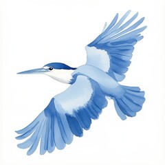 Blue heron flying, elegant feathers and wings, white isolated background.