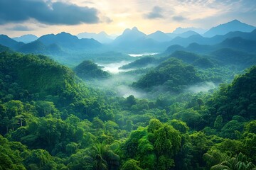 Fototapeta premium Breathtaking view of a lush green rainforest with misty valleys under a cloudy sky at sunrise, surrounded by towering mountains.