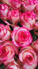 A Gorgeous and Beautiful Bouquet of Pink Roses Perfect for Every Single Occasion