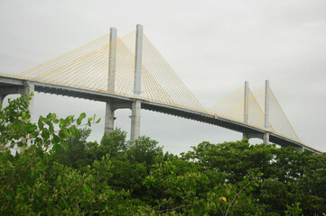 Impressive cable-stayed bridge rising above lush green trees on a cloudy day.