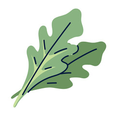 Vector image of a cooking herb icon on a white background