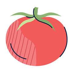 tomato icon vector image with white background
