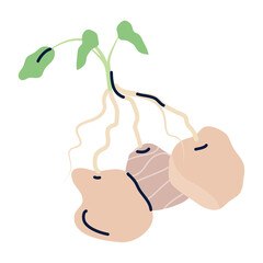 Vector image of a potato icon on a white background