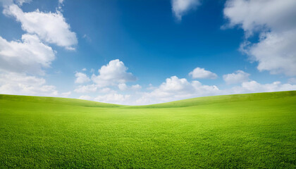 Fototapeta premium Green grass field with blue sky ad white cloud. Nature landscape background.