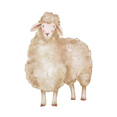 Farm animal sheep isolated element on white. Watercolor illustration lamb in kids style for textile, decoration dishes, children parties, birthday.