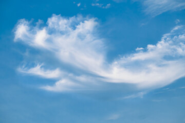 Dragon shaped cloud in the sky.