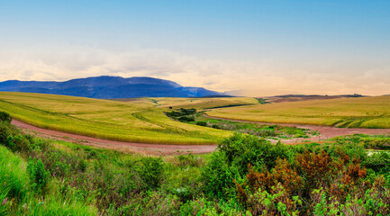 Obraz premium Golden wheat field at the mountain's foothill, with rolling hills and spring flowers in the foreground