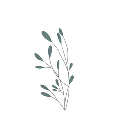 Minimalist leaf illustration in color.Leaves for invitation decoration 