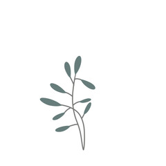 Obraz premium Minimalist leaf illustration in color.Leaves for invitation decoration 