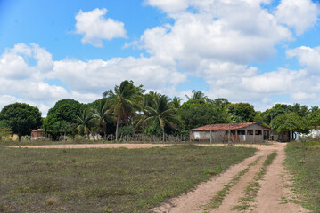 Obraz premium house in the countryside, city in the interior, northeastern Brazil, field of grass, country life, rural house with palm trees in tropical landscape, dirt road leading to farm house under blue sky,