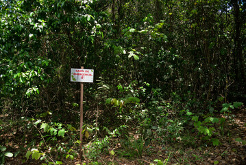 environment, Brazilian forest, signpost, emergency exit, ecotourism