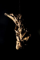 Folha seca enrugada no escuro da Mata Atlântica Brasileira iluminada com luzes coloridas. 