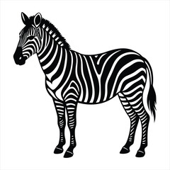 Obraz premium Zebra silhouette vector