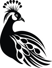 Fototapeta premium Black silhouette of peafowl head