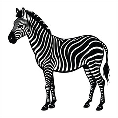 Fototapeta premium Zebra silhouette vector