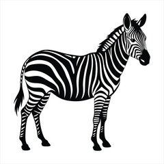 Obraz premium Zebra silhouette vector
