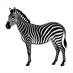 Obraz premium Zebra silhouette vector