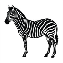 Zebra silhouette vector