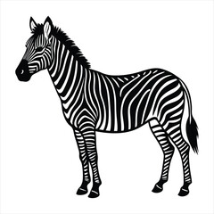 Fototapeta premium Zebra silhouette vector