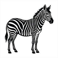 Obraz premium Zebra silhouette vector