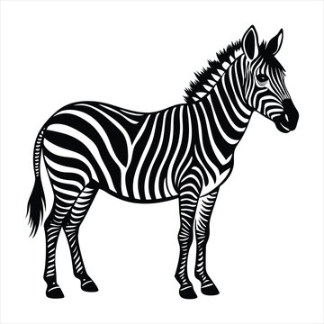 black and white zebra standing profile clip art preview