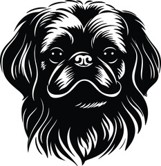 Fototapeta premium Black silhouette of pekingese head