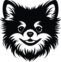 Obraz premium Black silhouette of pomeranian head
