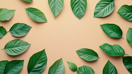 Fototapeta premium Radial Arrangement of Green Leaves on Background