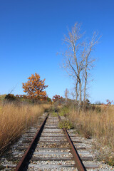 Fototapeta premium Abandoned railroad in autumn with fall colors and brown grass at Illinois Beach State Park in Zion, Illinois