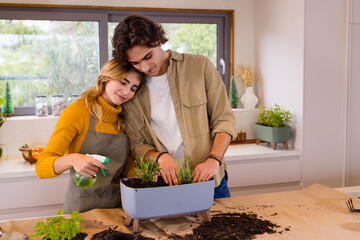 Couple enjoying indoor gardening together, planting herbs in kitchen planter, at home