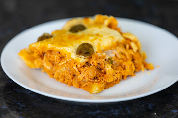 Traditional chicken pie with typical Brazilian catupiry. Empadão de frango